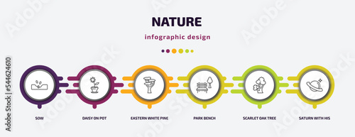 nature infographic template with icons and 6 step or option. nature icons such as sow, daisy on pot, eastern white pine tree, park bench, scarlet oak tree, saturn with his ring vector. can be used