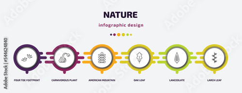 nature infographic template with icons and 6 step or option. nature icons such as four toe footprint, carnivorous plant, american mountain ash, oak leaf, lanceolate, larch leaf vector. can be used