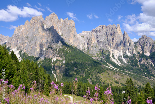 Panoramas of the Alpe Ciampedie, Vigo di Fassa, Val di Fassa, Trento, Trentino Alto Adige, Italy photo