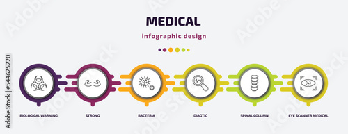 medical infographic template with icons and 6 step or option. medical icons such as biological warning, strong, bacteria, diagtic, spinal column, eye scanner medical vector. can be used for banner,