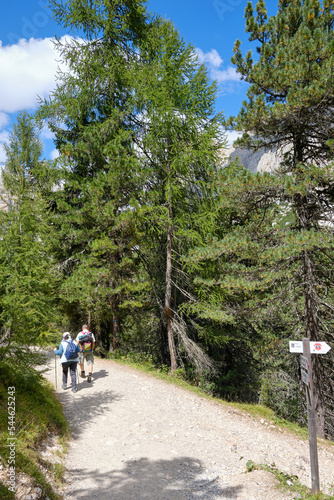 Panoramas of the Alpe Ciampedie, Vigo di Fassa, Val di Fassa, Trento, Trentino Alto Adige, Italy