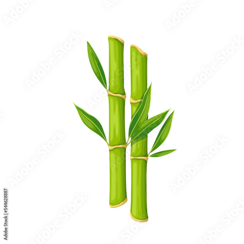 Bamboo stalk with green leaves vector illustration. Cartoon isolated two pieces of sticks with growing leaf on branch, Japanese, Thai or Chinese traditional decoration, natural oriental garden