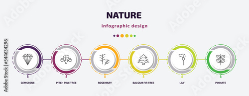 nature infographic template with icons and 6 step or option. nature icons such as gemstone, pitch pine tree, rosemary, balsam fir tree, lily, pinnate vector. can be used for banner, info graph, web,