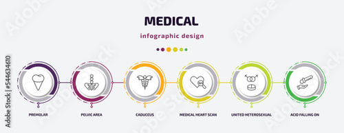 medical infographic template with icons and 6 step or option. medical icons such as premolar, pelvic area, caduceus, medical heart scan, united heterosexual, acid falling on hand vector. can be used