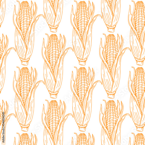 Corn, maize pattern. Hand drawn corn design. Color background. Vector illustration. Corn on the cob hand drawn vector illustration.