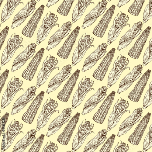 Sketch corn. Harvesting cereals, hand drawn cobs and seeds vector seamless pattern