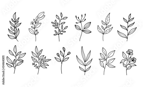 Fototapeta Naklejka Na Ścianę i Meble -  Set of modern floral line art elements.Hand draw botanical.