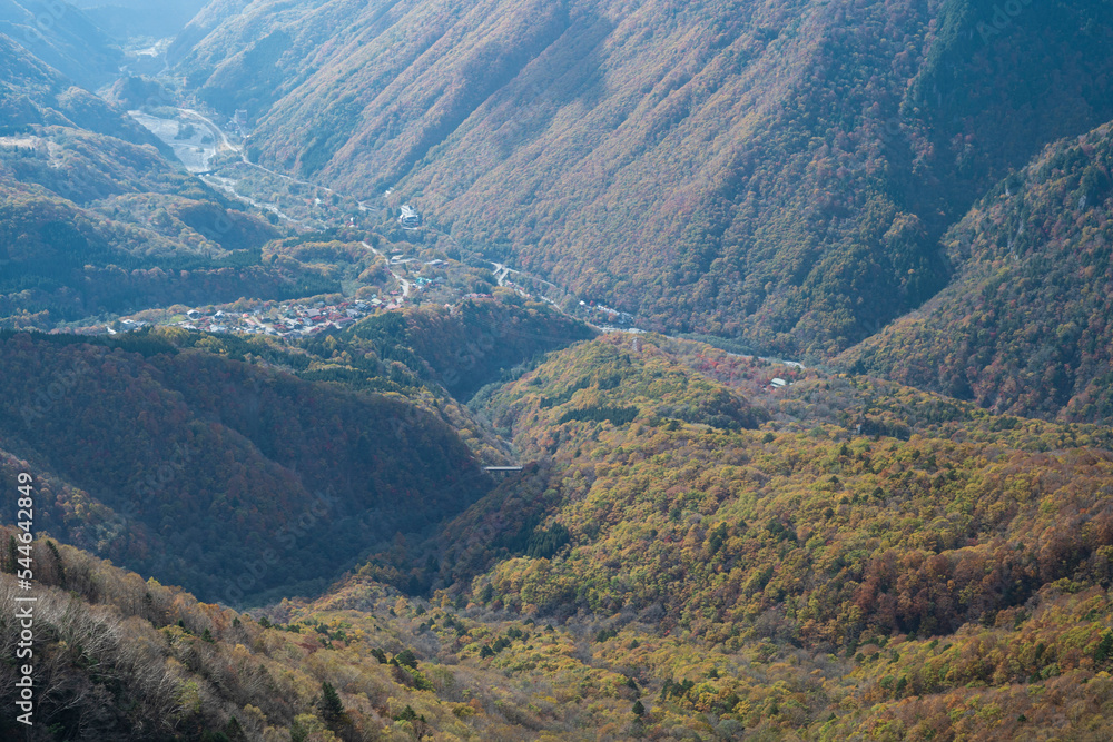 上から見た紅葉に彩られた山と町の風景