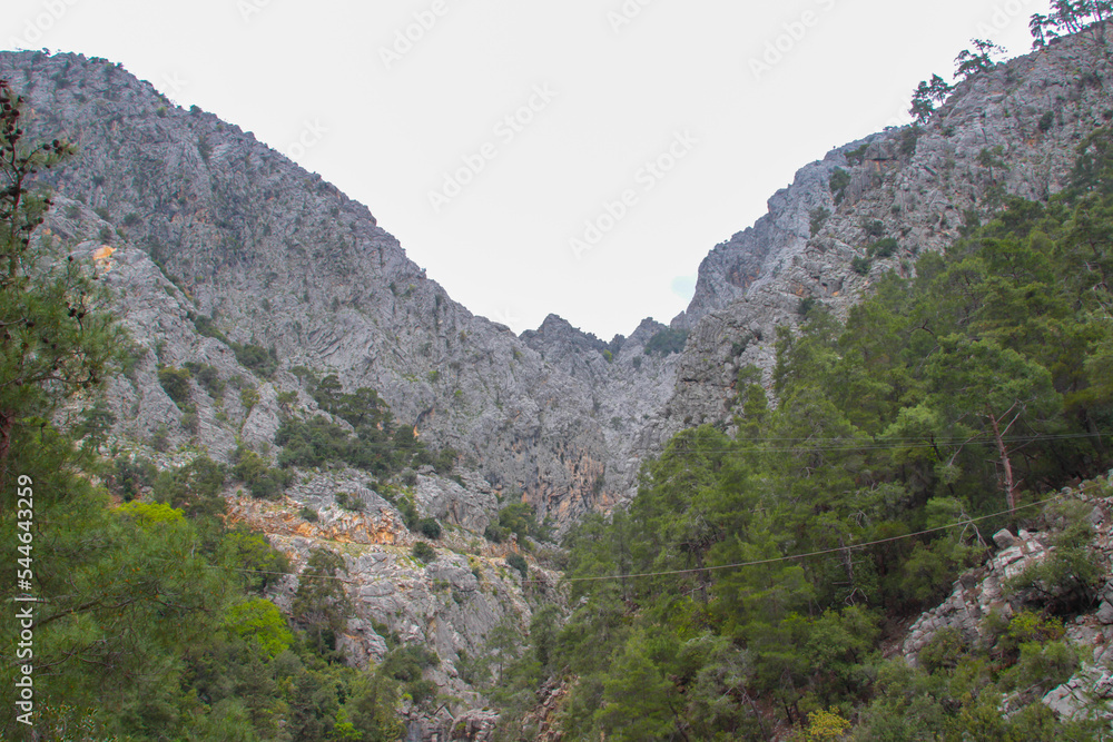 Obraz premium Beautiful mountain landscape with pine trees on the slopes against the sky.