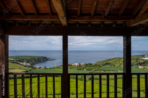 Scenic view from balcony to tea plantation in Porto Formoso on the north coast of the island of Sao Miguel in the Azores archipelago, Portugal.