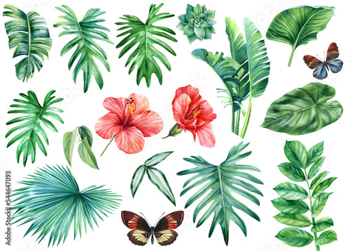 Tropical watercolor exotic jungle plants. Palm leaves, red hibiscus flowers and color butterflies