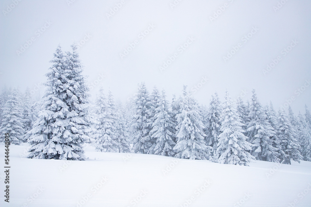 magical frozen winter landscape with snow covered fir trees magical frozen winter landscape with snow covered fir trees