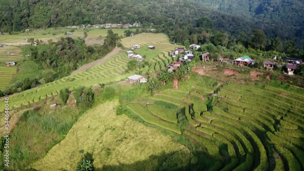 Aerial view at Pa Pong Piang Rice Terraces with homestay on mountain, Mae Chaem, Chiang Mai, Northern of Thailand, agricultural and deforestation concept Aerial view at Pa Pong Piang Rice Terraces with homestay on mountain, Mae Chaem, Chiang Mai, Northern of Thailand, agricultural and deforestation concept
