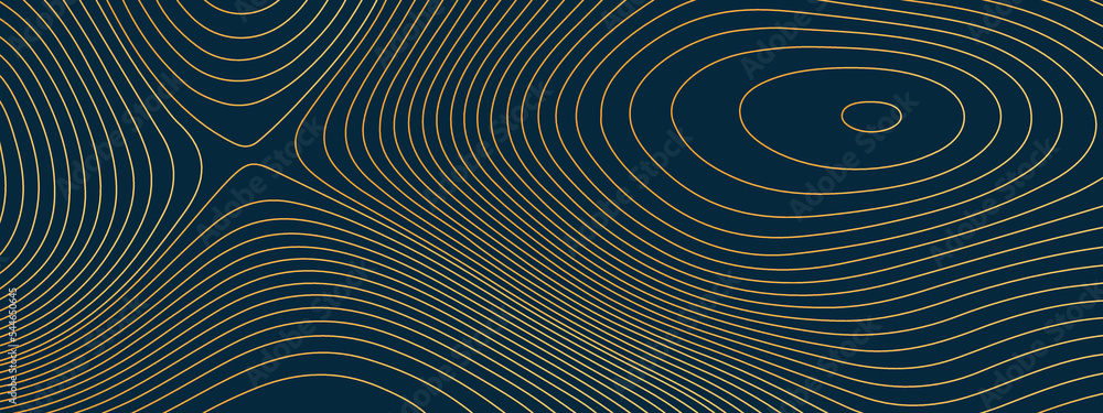 The stylized colorful abstract topographic map with lines and circles background. Topography gradient linear background with copy space. Vector illustration. The stylized colorful abstract topographic map with lines and circles background. Topography gradient linear background with copy space. Vector illustration.