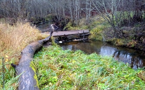 A wild little river with fallen trees and lots of rocks. A small trout river during autumn. photo