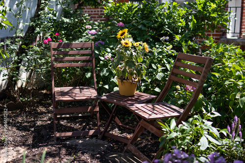 Two Chairs in a Beautiful Home Garden Filled with Green Plants and Flowers during the Summer