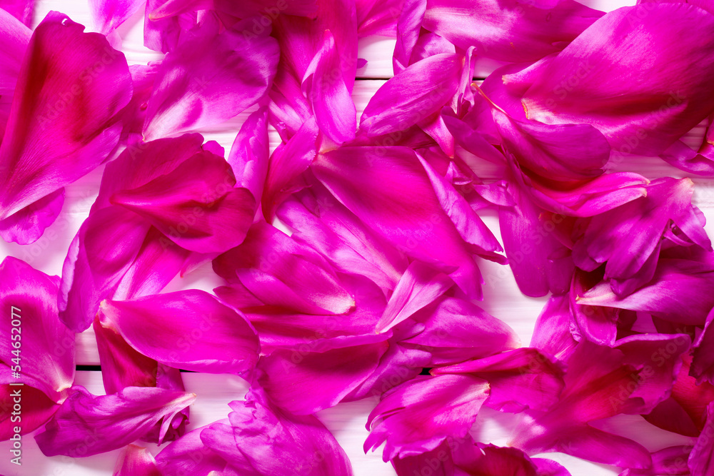 Fototapeta premium petals of pink peonies
