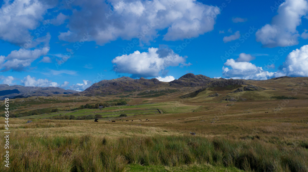 Southern Fells ,Cumbria ,England .