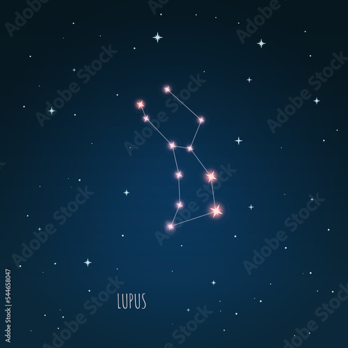Constellation Lupus scheme in starry sky. Open space. Vector illustration Lupus constellation in open space through a telescope