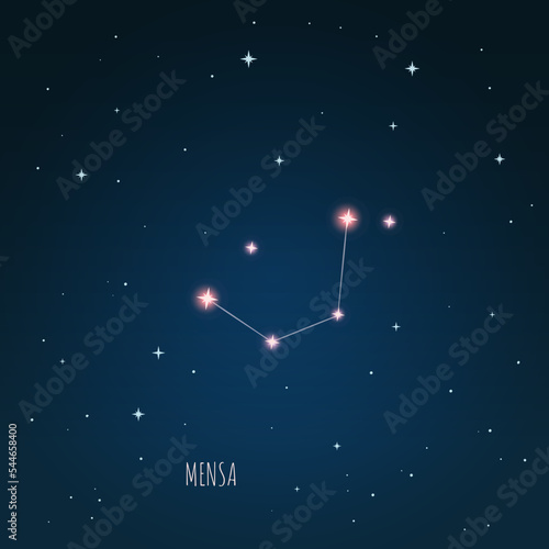 Vector illustration of constellation Mensa on the background of a starry sky and tree branches. Constellation scheme collection