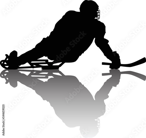 paralympic games hockey