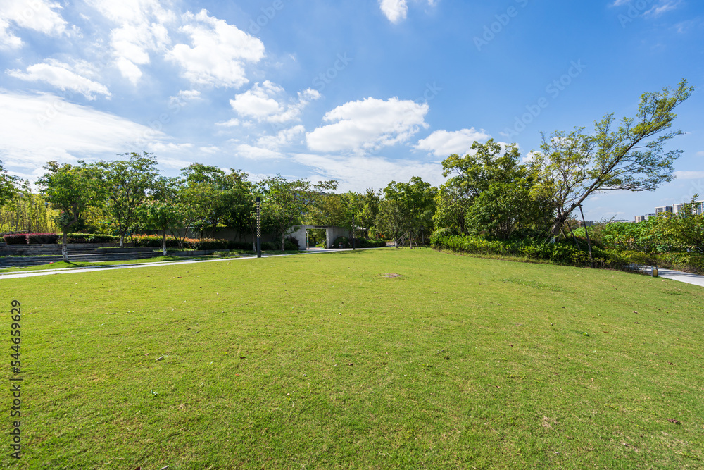 Fototapeta premium grass in city park