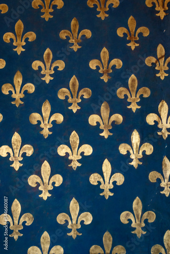 Blue wall with golden Fleur de Lys pattern, Florence, Tuscany, Italy, Europe