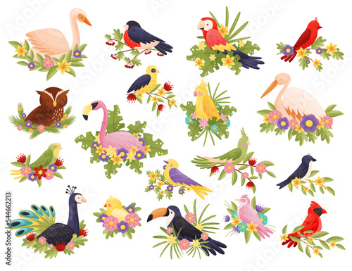 Set of birds with flowers set. Toucan, parrot, heron, flamingo, swan, owl birds sitting on blooming branches cartoon vector