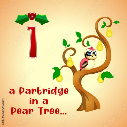 The 12 Days of Christmas - 1-St Day - A Partridge In A Pear Tree. Vector Hand Drawn Illustration With Background And Text