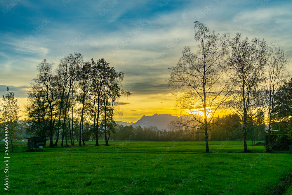Sonnenuntergang im Rheintal, mit Baum auf der Wiese und Felder, Bäumen und Schweizer Bergen im Hintergrund. Panorama. Föhn mit Wolken und blau, gelb, orange und rotem Himmel Sonnenuntergang im Rheintal, mit Baum auf der Wiese und Felder, Bäumen und Schweizer Bergen im Hintergrund. Panorama. Föhn mit Wolken und blau, gelb, orange und rotem Himmel