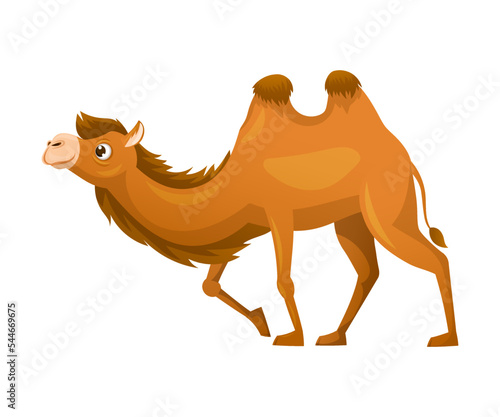 Brown Camel as Even-toed Ungulate Desert Animal Walking Vector Illustration
