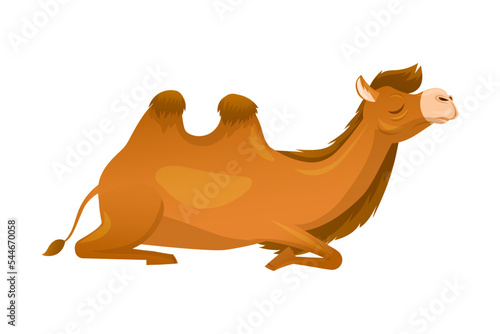 Brown Camel as Even-toed Ungulate Desert Animal Sitting Vector Illustration