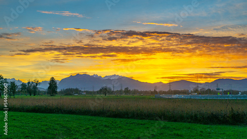 Sonnenuntergang im Rheintal  mit Wiesen und Felder  B  umen und Schweizer Bergen im Hintergrund. F  hn mit Wolken und blau  gelb  orange und rotem Himmel 