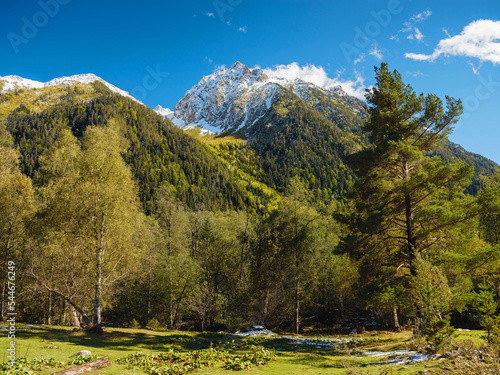 journey by Irkis valley, Arkhyz, Karachay-Cherkessia, North Caucasus. snowy mountain valley with blue sky and clouds and beautiful forest near river Psysh, Caucasus nature reserve. Alpine landscape.