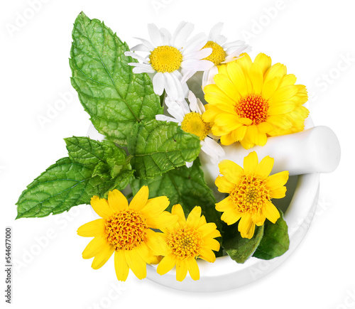 Arnica, chamomile and marigold in a mortar, transparent background photo