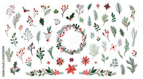 Stampa su tela Christmas botanical collection with seasonal flowers and plants, floral wreath a