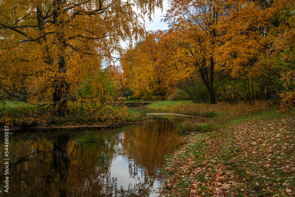 Obraz premium Autumn landscape near the Upper Ponds in the Catherine Park of Tsarskoye Selo on a sunny autumn day, Pushkin, St. Petersburg, Russia