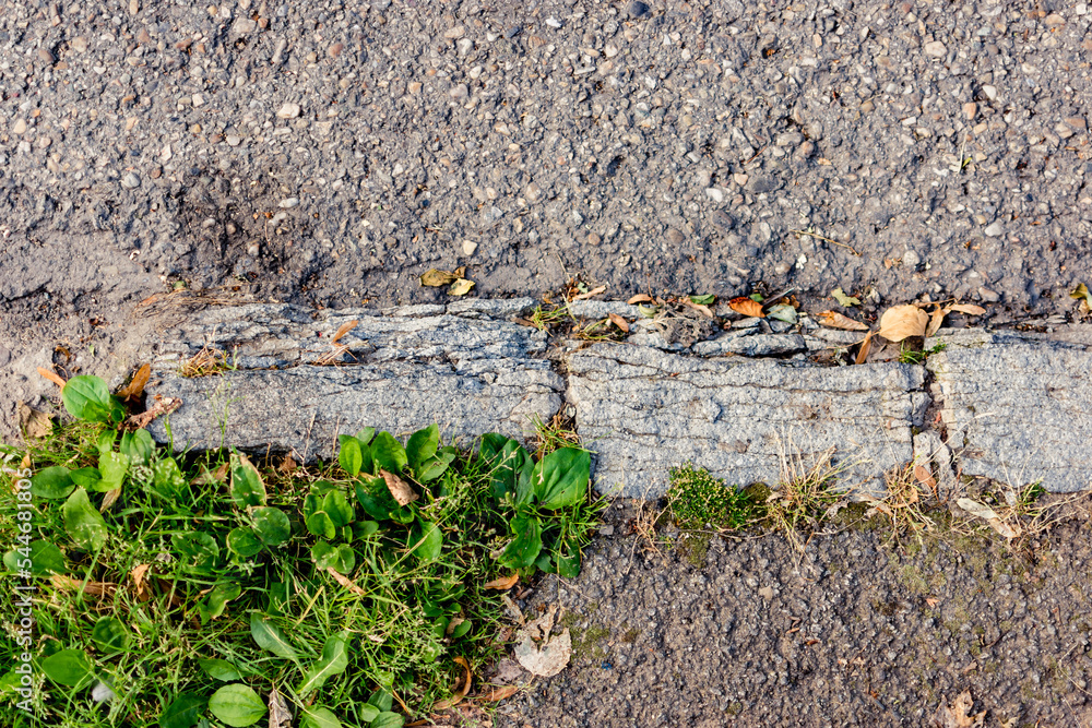 Obraz premium Pavement surface of a sidewalk with grass and a crossover to asphalt as urban backdrop