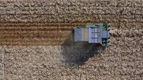 Aerial footage of cotton harvester in a large scale cotton field during harvest