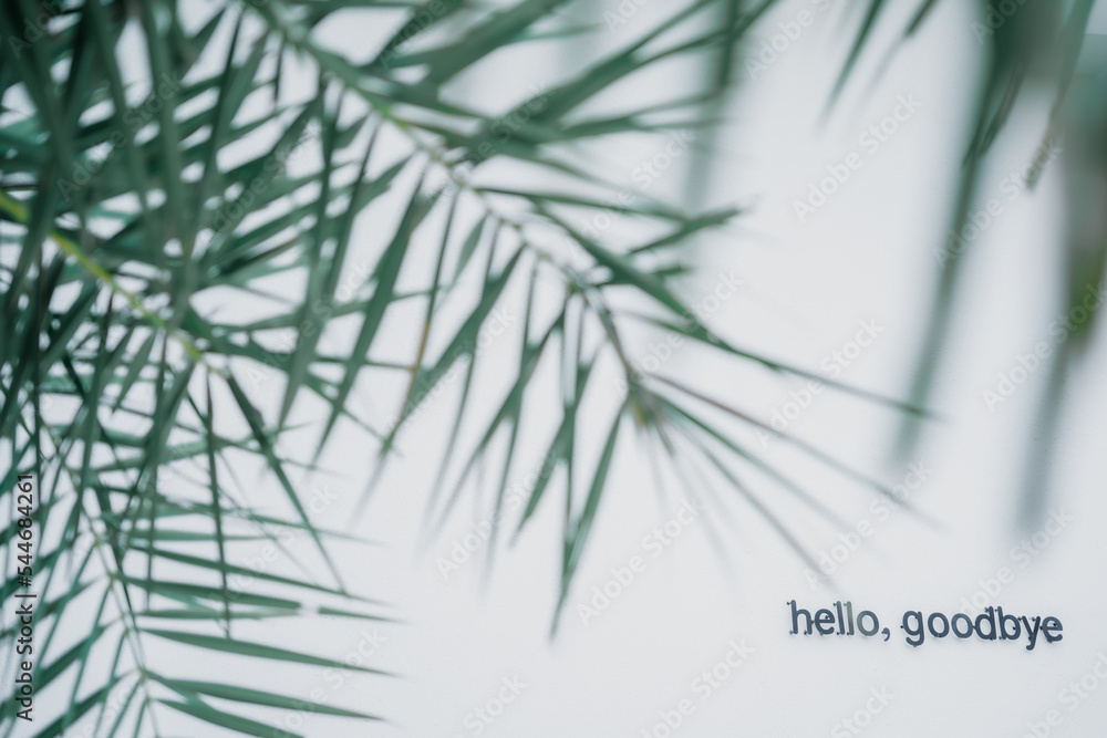 Naklejka premium grass background