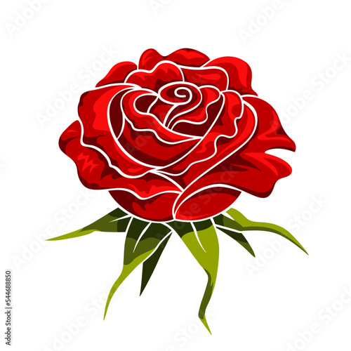 Red blossoming rose bud isolated on white. Flower head with green leaves cup, hand drawn sketch. Vector element for floral design, wedding or greeting card, romantic and botanical illustration.