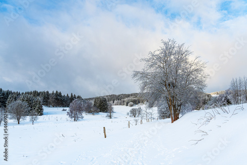 Landschaft im Winter im Thüringer Wald in der Nähe von Schmiedefeld am Rennsteig © Rico Ködder