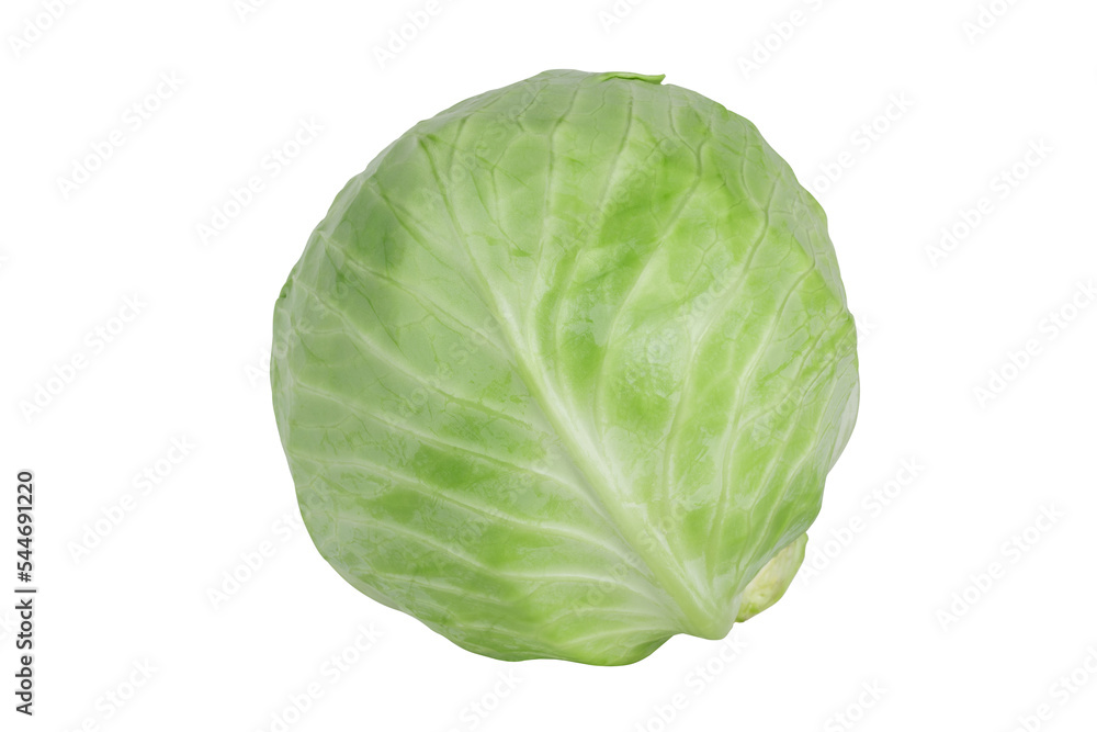 Green round cabbage isolated on white background. Close up of cabbagehead. Green round cabbage isolated on white background. Close up of cabbagehead.
