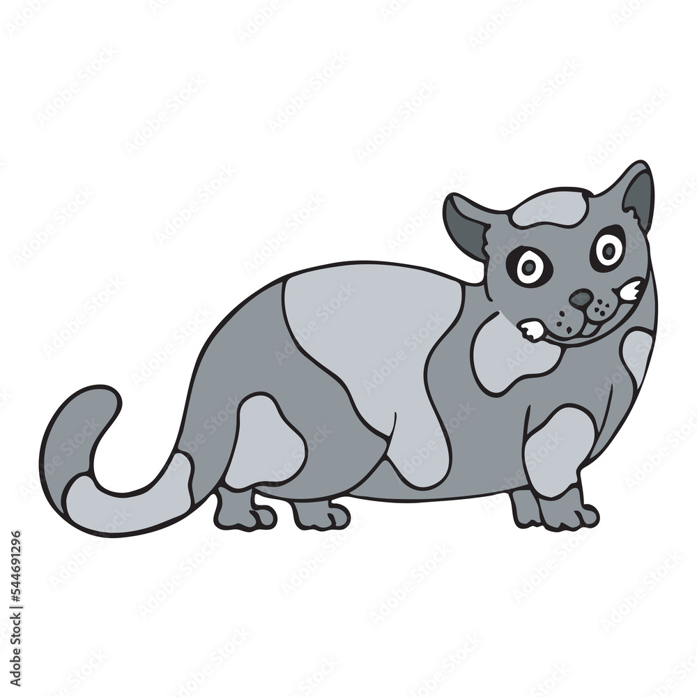 gray cat with big spots