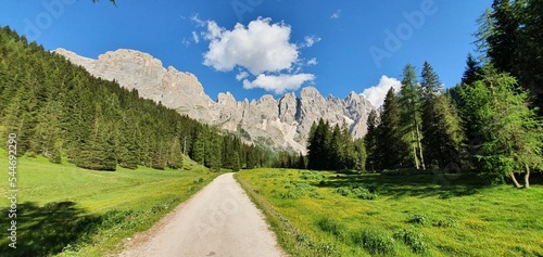 landscape with a road photo