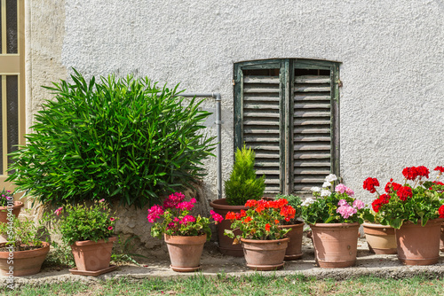 Windows and doors in an old house decorated with flower