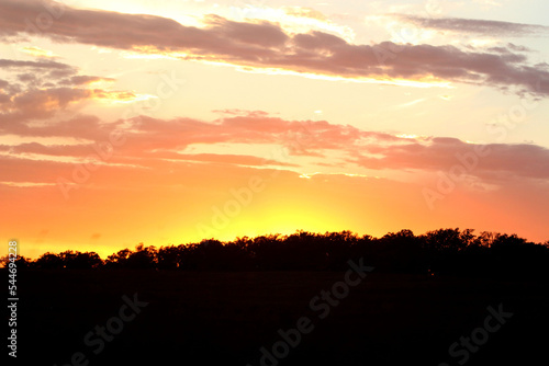 sunset over the field © Drew