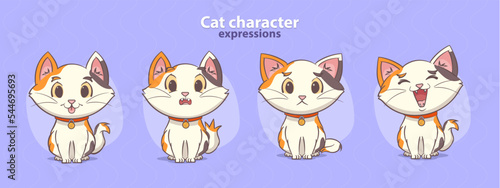 Cat cute expressions