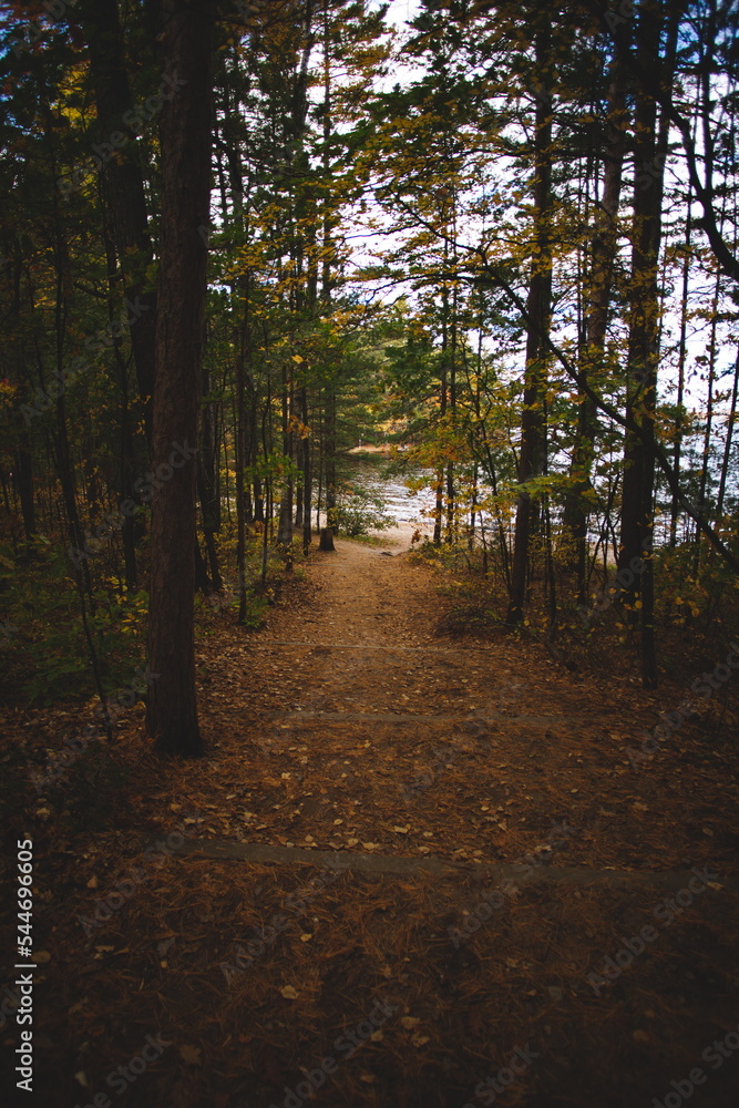 Obraz premium Bon Echo Provincial Park in Ontario, Canada. A spectacular landmark in North America alongside Mazinaw Lake. Autumn leaves and fall colors late in the season making for a beautiful landscape.