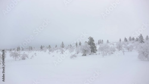 Snowy arctic taiga landscape travel photo